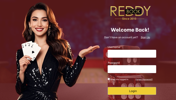 Login Process